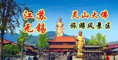cao逼视频网站江苏无锡灵山大佛旅游风景区
