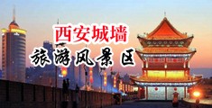 欧美性爱在线小视频免费的中国陕西-西安城墙旅游风景区
