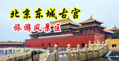 日逼过程视屏中国北京-东城古宫旅游风景区