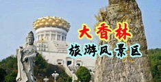 高清女生被插免费网站中国浙江-绍兴大香林旅游风景区